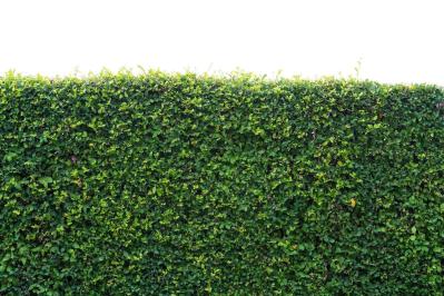 あきらめないで！「申請すればお金がもらえるかも」【住宅関連費用】老後資金への打撃も軽減（サムネイル画像4）