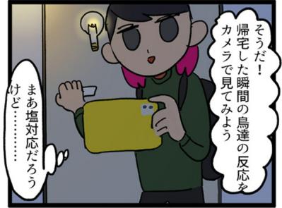 【鳥マンガ＃3】塩対応なインコ、デレるインコ。ホームカメラで見てみると！？（サムネイル画像12）