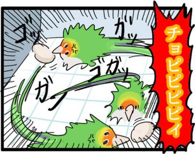 【鳥マンガ＃2】全てを破壊するインコとは！？インコのおしゃべり（サムネイル画像8）