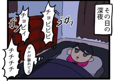 【鳥マンガ＃2】全てを破壊するインコとは！？インコのおしゃべり（サムネイル画像6）