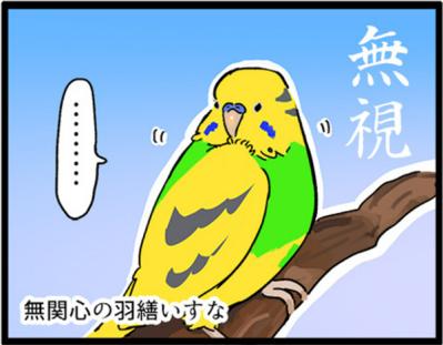 【鳥マンガ＃3】塩対応なインコ、デレるインコ。ホームカメラで見てみると！？（サムネイル画像7）
