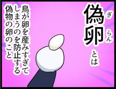 【鳥マンガ＃2】全てを破壊するインコとは！？インコのおしゃべり（サムネイル画像4）