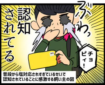 【鳥マンガ＃3】塩対応なインコ、デレるインコ。ホームカメラで見てみると！？（サムネイル画像15）