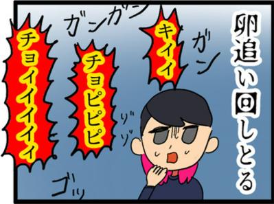 【鳥マンガ＃2】全てを破壊するインコとは！？インコのおしゃべり（サムネイル画像9）