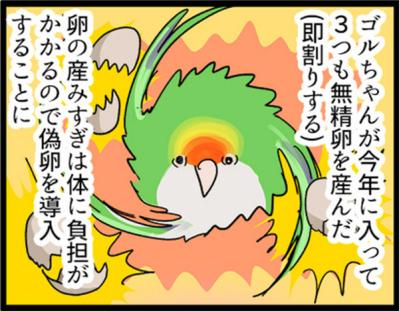 【鳥マンガ＃2】全てを破壊するインコとは！？インコのおしゃべり（サムネイル画像3）