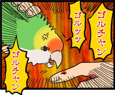 【鳥マンガ＃2】全てを破壊するインコとは！？インコのおしゃべり（サムネイル画像13）