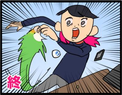 【鳥マンガ＃6】敵には容赦しないインコ。「飼い主はつらいよ」（サムネイル画像9）