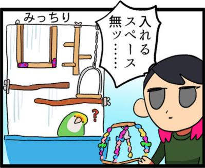 【鳥マンガ＃4】インコの尊すぎる愛、飼い主の底なしの愛（サムネイル画像12）