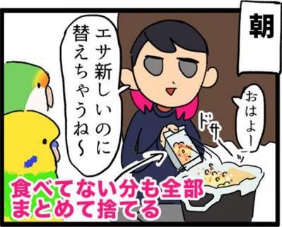 【鳥マンガ＃6】敵には容赦しないインコ。「飼い主はつらいよ」（サムネイル画像10）