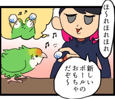 【鳥マンガ＃6】敵には容赦しないインコ。「飼い主はつらいよ」（サムネイル画像7）