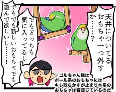 【鳥マンガ＃4】インコの尊すぎる愛、飼い主の底なしの愛（サムネイル画像13）