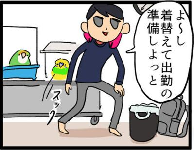 【鳥マンガ＃6】敵には容赦しないインコ。「飼い主はつらいよ」（サムネイル画像11）