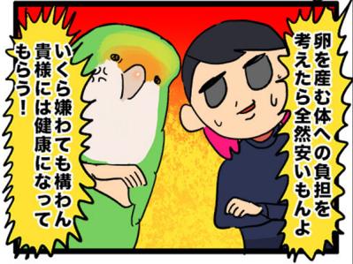 【鳥マンガ＃5】インコVS飼い主の偽卵戦争　ゴルちゃんとの出会い（サムネイル画像7）