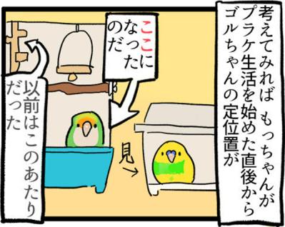 【鳥マンガ＃4】インコの尊すぎる愛、飼い主の底なしの愛（サムネイル画像7）