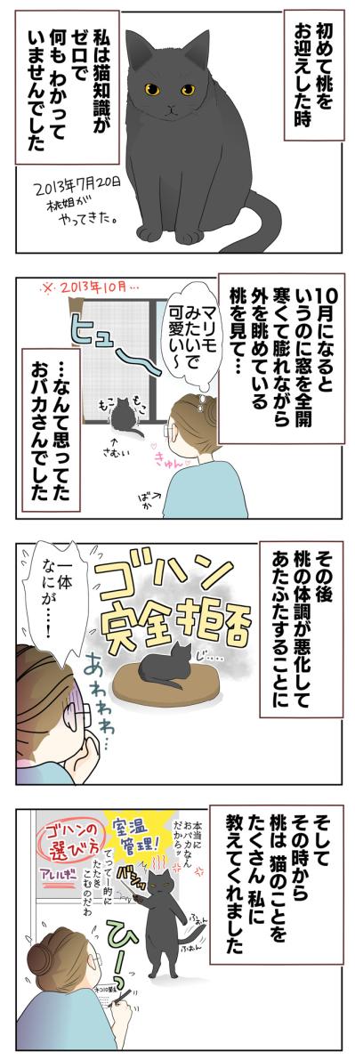 【老猫マンガ】初めて猫を迎えた時は…18歳の元保護猫・桃姐［＃5］（サムネイル画像2）