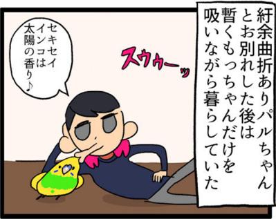 【鳥マンガ＃5】インコVS飼い主の偽卵戦争　ゴルちゃんとの出会い（サムネイル画像10）