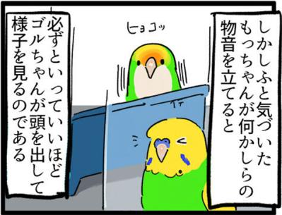 【鳥マンガ＃4】インコの尊すぎる愛、飼い主の底なしの愛（サムネイル画像5）