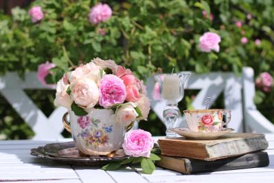 【ガーデニング】冬剪定の時期と基本の切り方　初心者のバラ育てQ＆A　（サムネイル画像2）