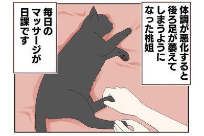 【老猫マンガ】萎えた足をマッサージすると…18歳の元保護猫・桃姐［＃6］