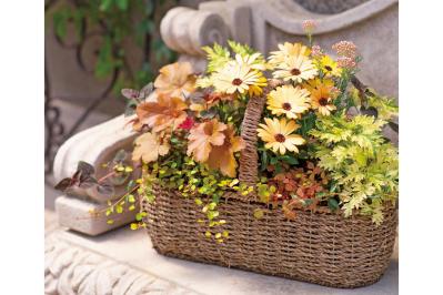 【ガーデニング】この春に作りたい「レッド＆ブラウンの花の寄せ植え」カラーリーフを使って上品シックな印象に（サムネイル画像）
