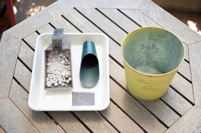 【ガーデニング】春らしい「イエローの花の寄せ植え」を人気ガーデナー・土谷ますみさんが伝授（サムネイル画像6）