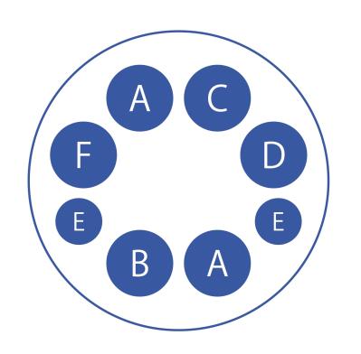 【ガーデニング】愛されカラーでロマンチックな「ピンク＆ブルーの花の寄せ植え」春の花が成長する姿も楽しい！（サムネイル画像8）