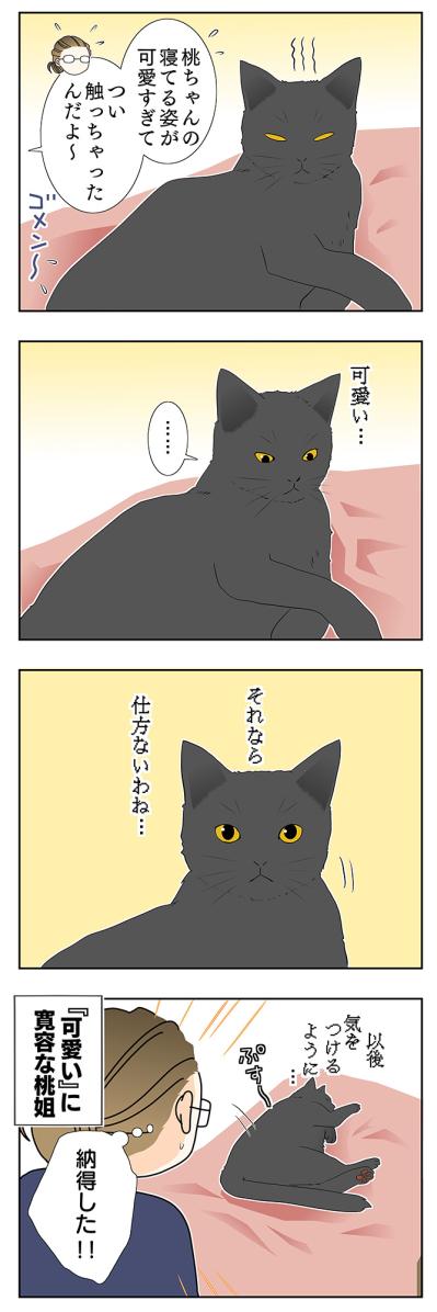 【老猫マンガ】猫、理由に納得する…18歳の元保護猫・桃姐［＃8］（サムネイル画像3）