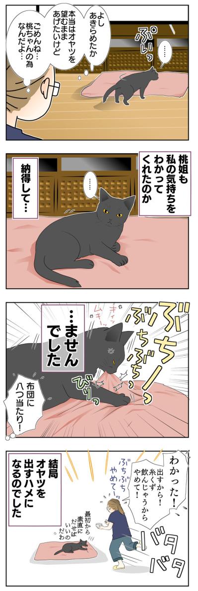 【老猫マンガ】八つ当たりする老猫…18歳の元保護猫・桃姐［＃9］（サムネイル画像3）