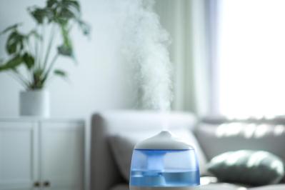 「加湿器のなかでも特に粘膜にいい種類は…」【花粉症対策】耳鼻咽喉科医がすすめる家電活用法（サムネイル画像2）