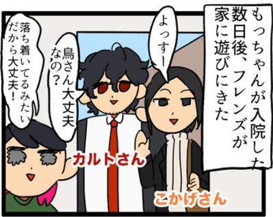 【鳥マンガ＃7】寂しがり屋の女帝、偽卵戦争ついに集結（サムネイル画像4）