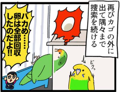 【鳥マンガ＃7】寂しがり屋の女帝、偽卵戦争ついに集結（サムネイル画像13）