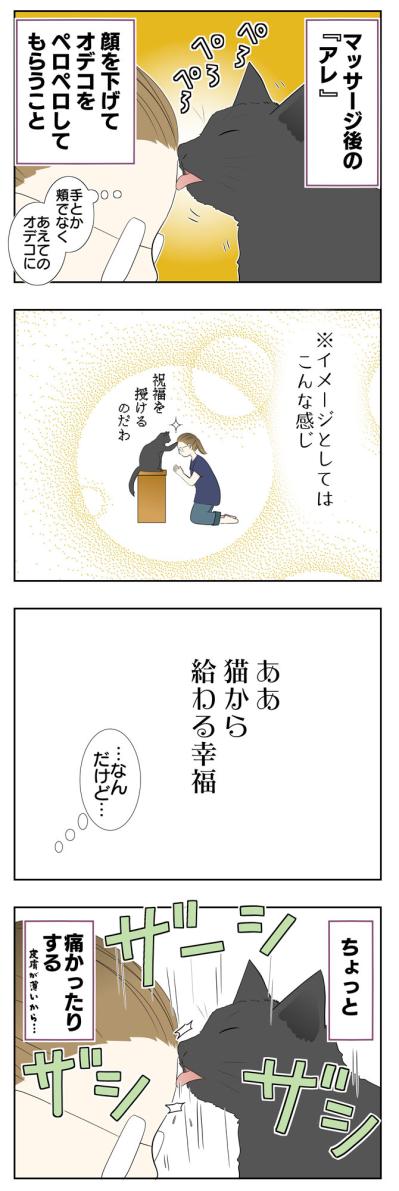 【老猫マンガ】老猫、祝福を授ける!? 18歳の元保護猫・桃姐［＃10］（サムネイル画像3）