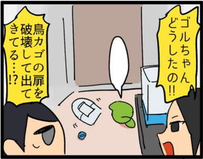 【鳥マンガ＃7】寂しがり屋の女帝、偽卵戦争ついに集結（サムネイル画像8）