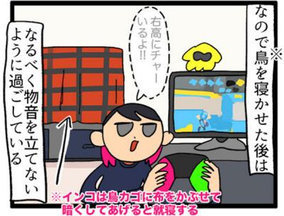 【鳥マンガ＃9】他のインコの動画を見てると、家の鳥にめちゃ怒られる！？（サムネイル画像4）