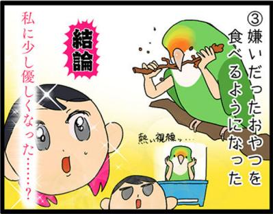 【鳥マンガ＃9】他のインコの動画を見てると、家の鳥にめちゃ怒られる！？（サムネイル画像9）