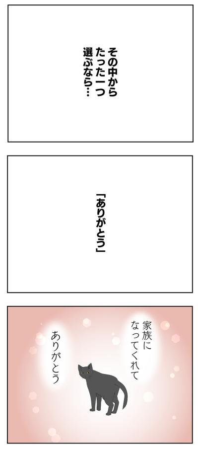 【マンガ・老猫日誌 ＃11】老猫、18歳になる。元保護猫・桃姐（サムネイル画像4）