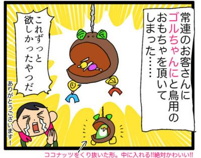 【鳥マンガ＃8】コザクラインコのゴルちゃんは女帝…でも意外とツンデレ（サムネイル画像3）