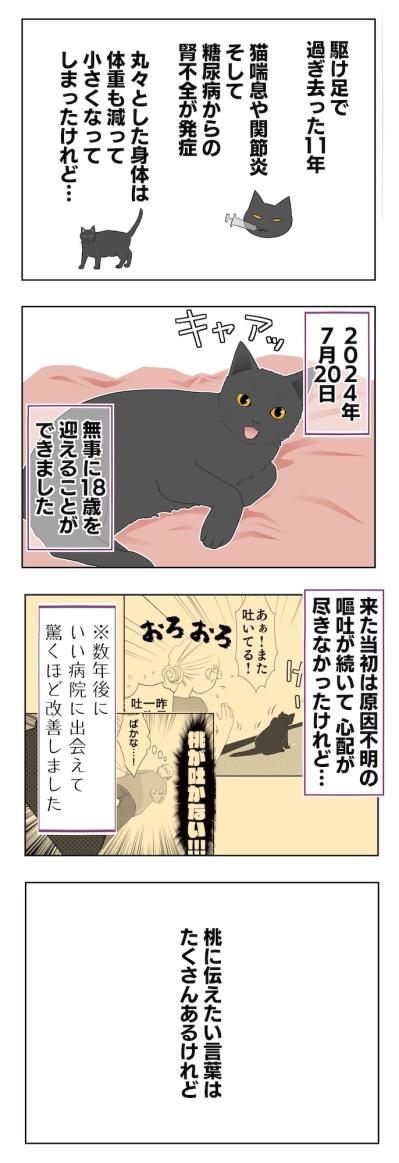 【マンガ・老猫日誌 ＃11】老猫、18歳になる。元保護猫・桃姐（サムネイル画像3）