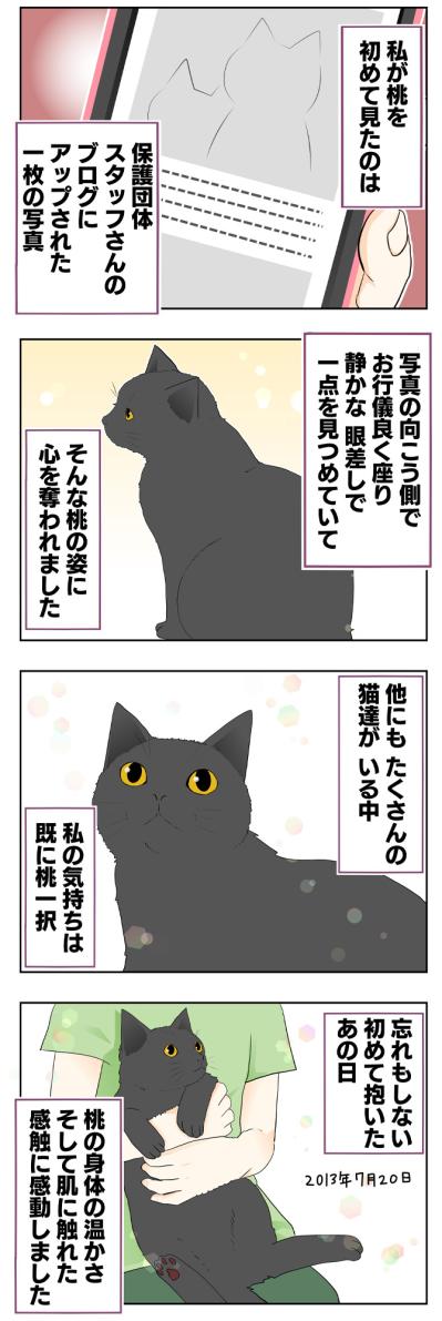 【マンガ・老猫日誌 ＃11】老猫、18歳になる。元保護猫・桃姐（サムネイル画像2）