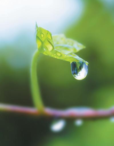  「夫婦二人で年金暮らし、貯金は1000万円未満…」先行きの不安を軽くする方法とは？人気心理カウンセラー・根本裕幸さんが回答（サムネイル画像4）