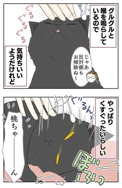 【マンガ・老猫日誌 ＃12】19歳の元保護猫・桃姐、耳掃除をする（サムネイル画像3）