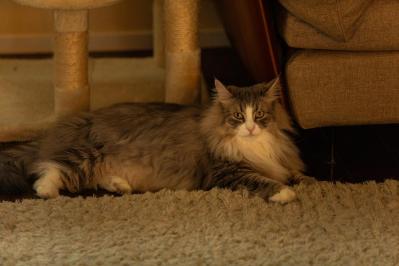 75歳で週2の筋トレを開始！「筋トレに遅いの文字はない」50～60代でやっておくべき運動も紹介【天野惠子さんのターニングポイント#3】（サムネイル画像4）