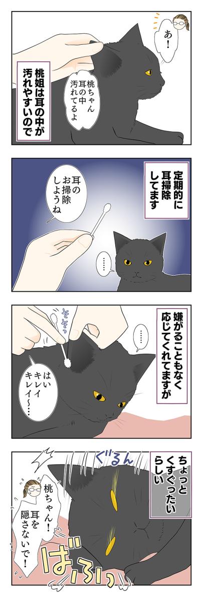 【マンガ・老猫日誌 ＃12】19歳の元保護猫・桃姐、耳掃除をする（サムネイル画像2）