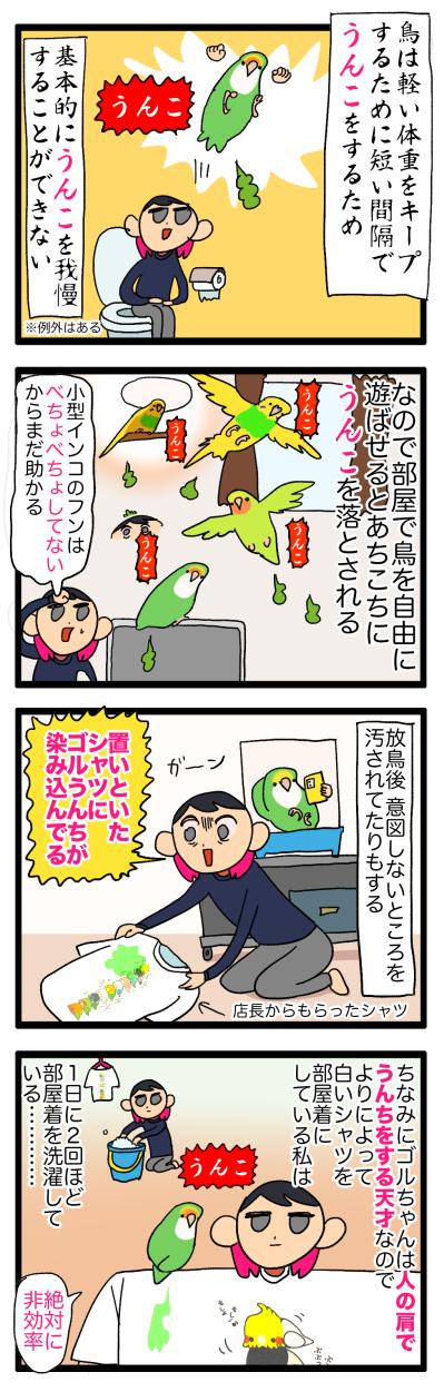 【鳥マンガ＃11】コザクラインコのう○ち事情。やっとおもちゃで遊んでくれた！そのワケは？（サムネイル画像4）