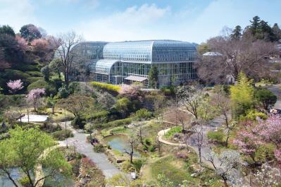 春から長く花を観賞できる【高知のガーデン】2選。花旅のプロおすすめ