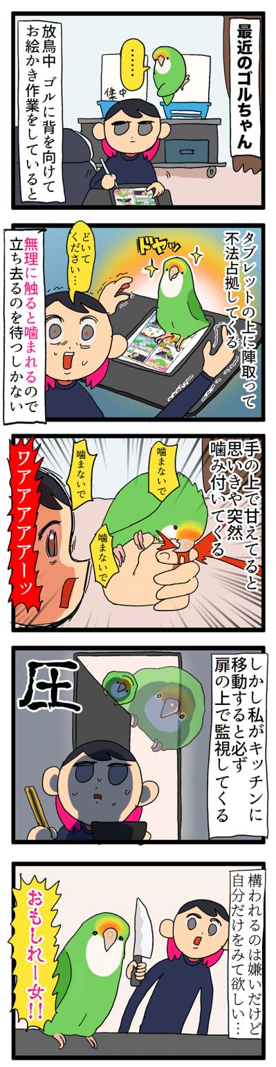 【鳥マンガ＃12】ゴルちゃんが甘えてきた！でも引き際をまちがえると…（サムネイル画像4）