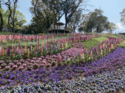 春から長く花を観賞できる【高知のガーデン】2選。花旅のプロおすすめ（サムネイル画像9）