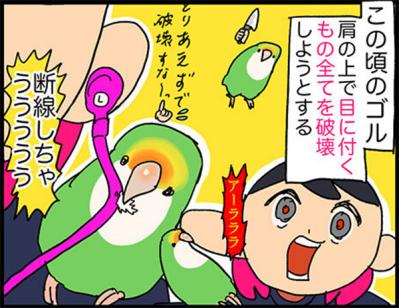 【鳥マンガ＃13】ぶつかったのはどっち？飼い主に反抗される女帝インコ（サムネイル画像4）
