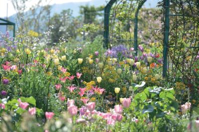 春から長く花を観賞できる【高知のガーデン】2選。花旅のプロおすすめ（サムネイル画像5）
