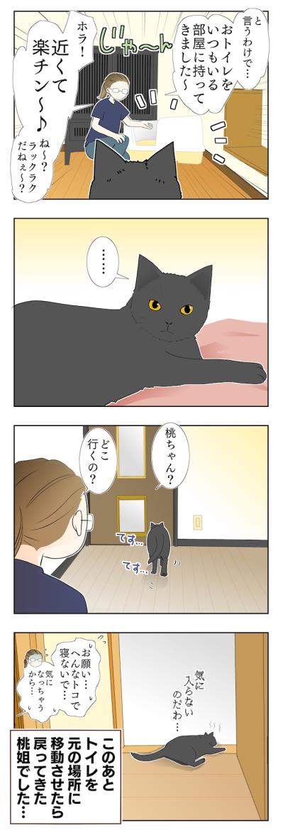 【マンガ・老猫日誌 ＃13】老猫のトイレ事情…19歳の元保護猫・桃姐（サムネイル画像3）